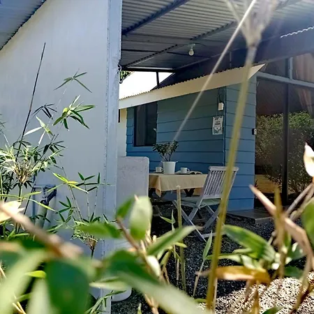 Tiny House Dreamcatcher Sarchí Exterior photo